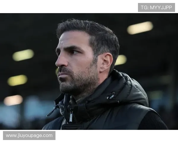 意甲赛季半程总结，升班马表现超预期成亮点