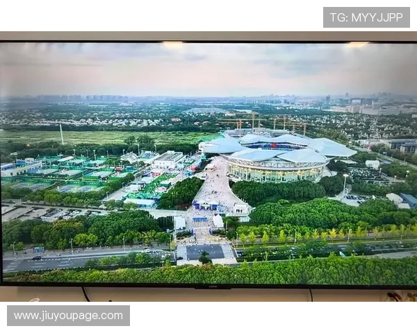 体育赛事管理平台对接城市交通网络，优化观众流动与疏导